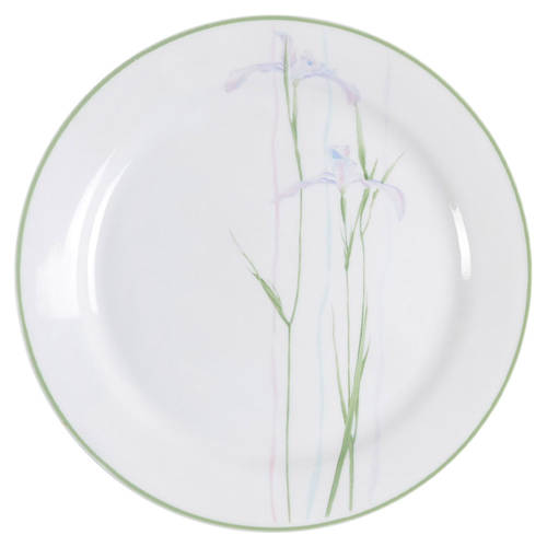 pattern-shadow-iris.jpg